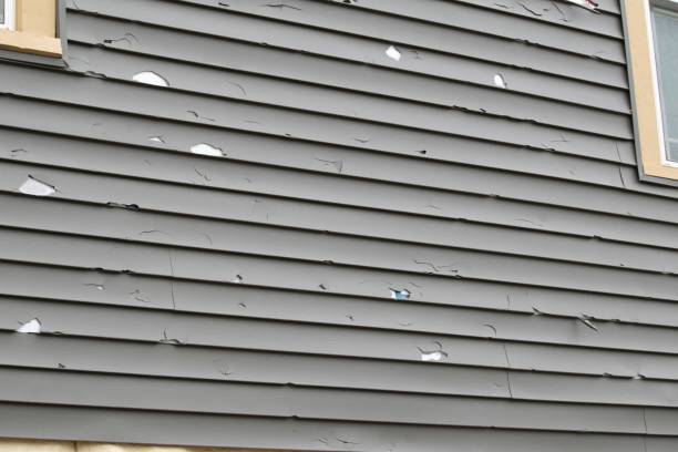 Best Insulated Siding Installation  in Holiday Heights, NJ