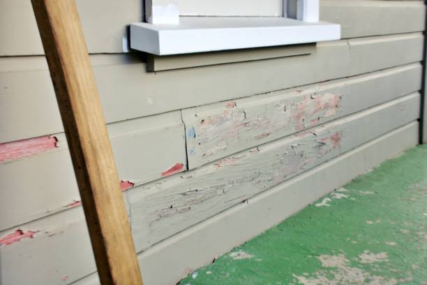 Best Steel Siding Installation  in Holiday Heights, NJ